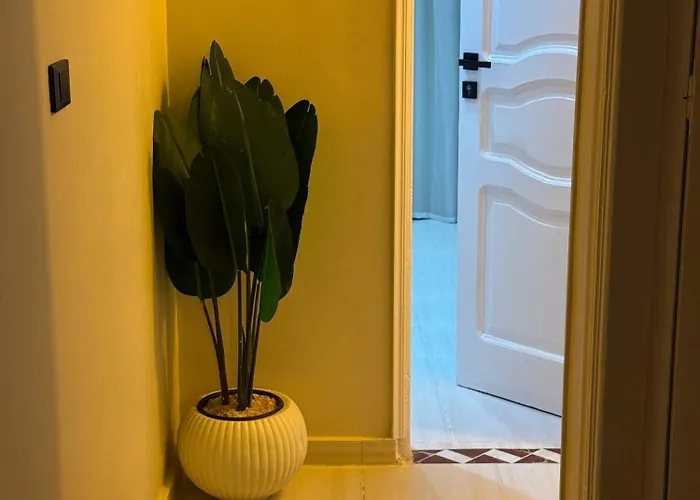 Daire Cozy Retreat By The Sea Safaga